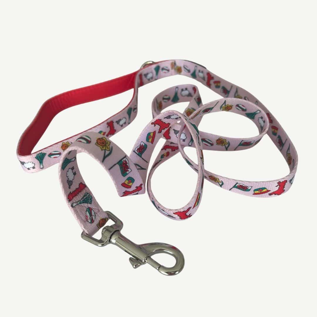 WELSH DOG LEASH - Image 11