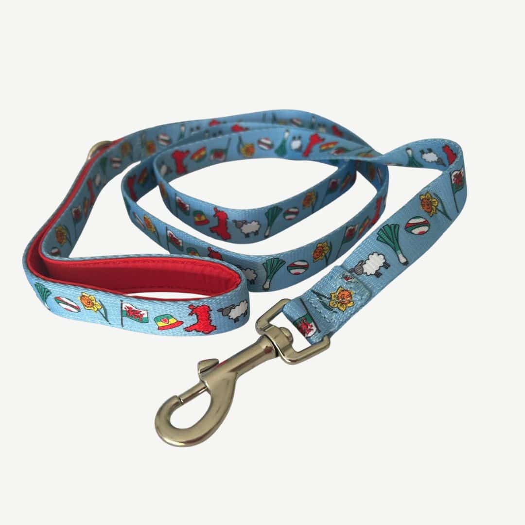 WELSH DOG LEASH - Image 13