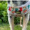 WELSH DOG HARNESS - Image 3