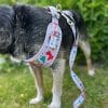 WELSH DOG HARNESS - Image 5