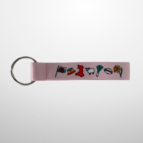 CYLCH ALLWEDDI CYMREIG